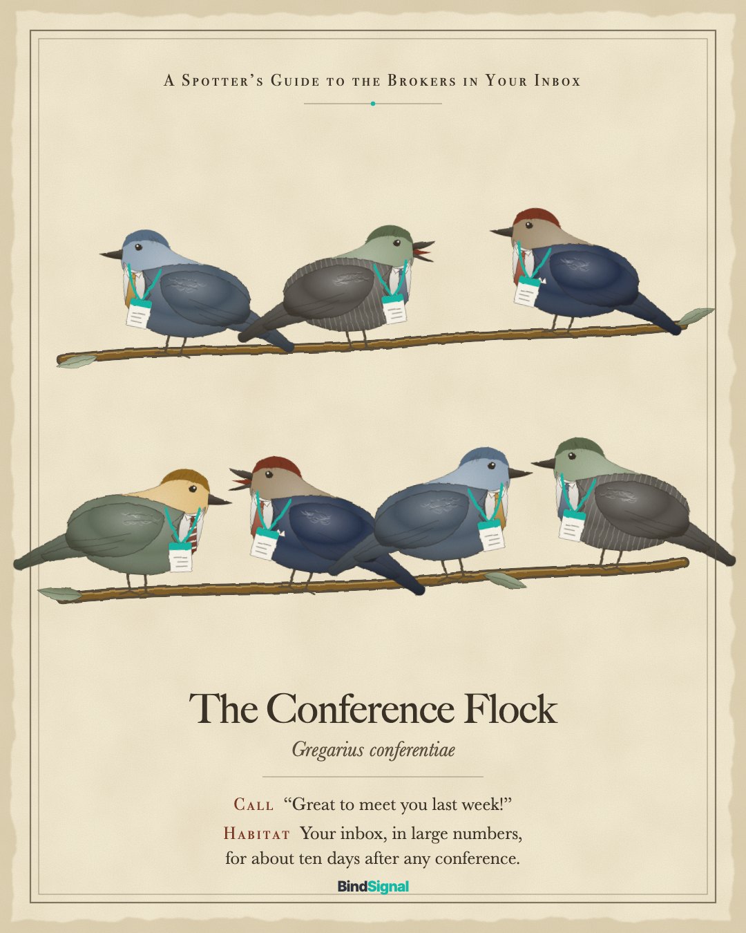 Field guide illustration: the Conference Flock, seven small birds in suits on two branches, each wearing a conference lanyard